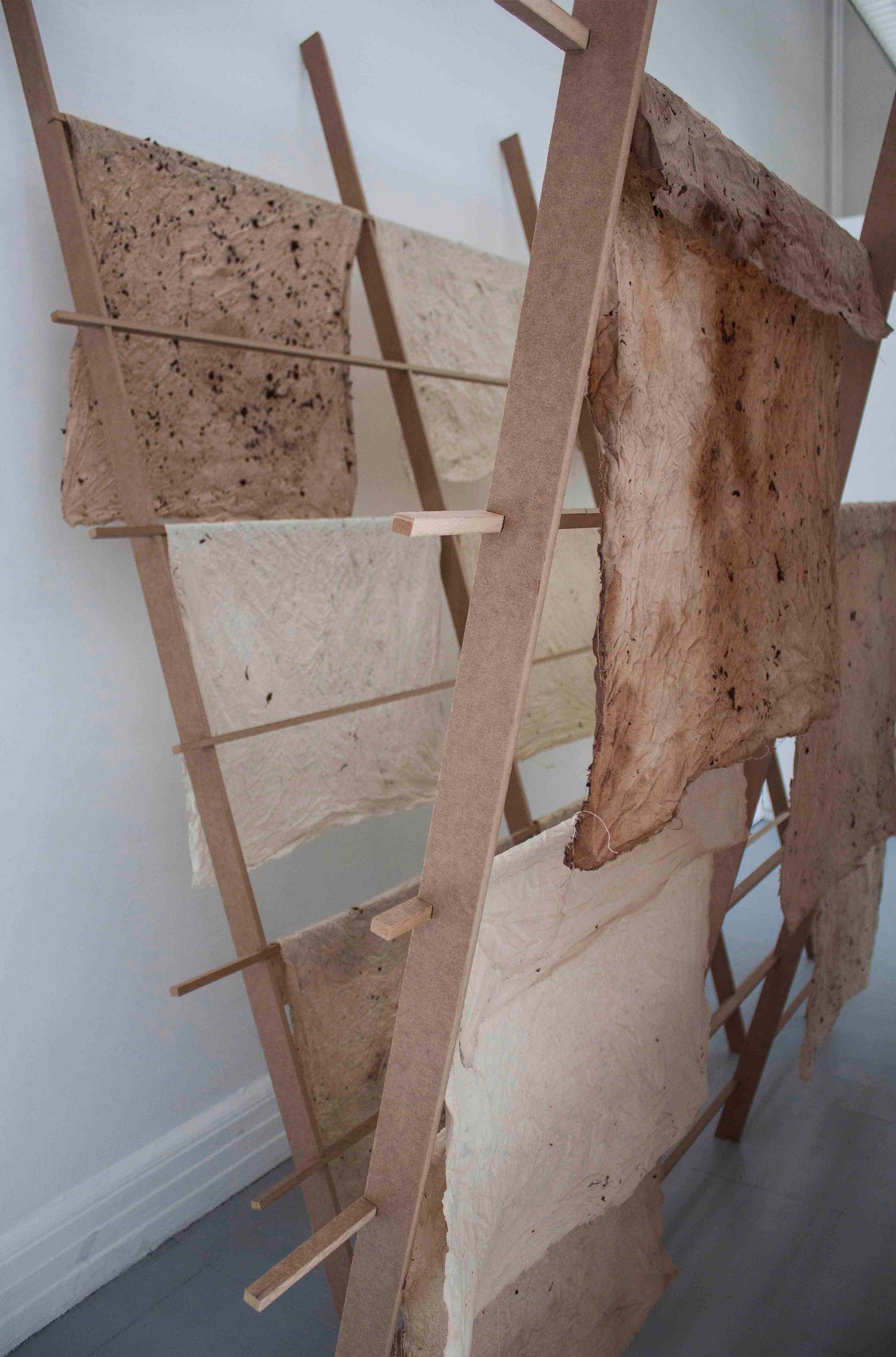 HERBARIA